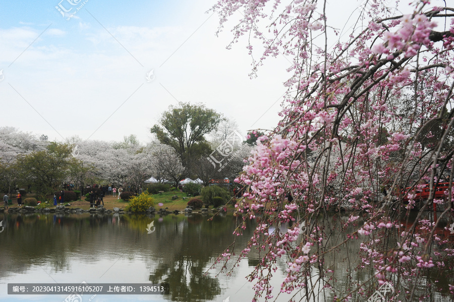 山水美景