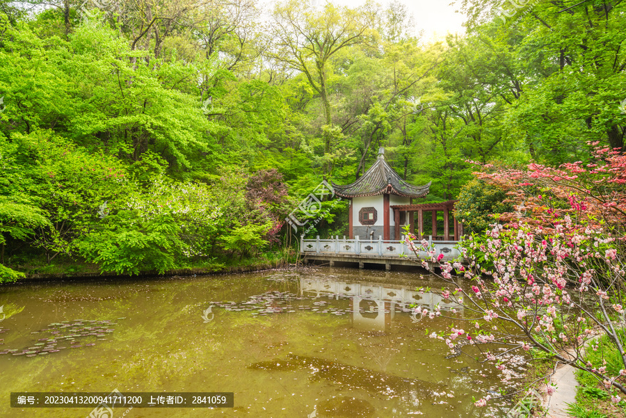 南京栖霞山的幽居庵风景