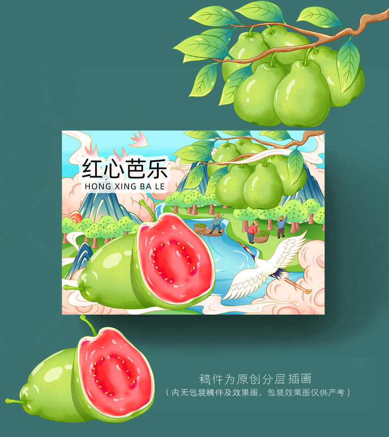 芭樂插畫手繪
