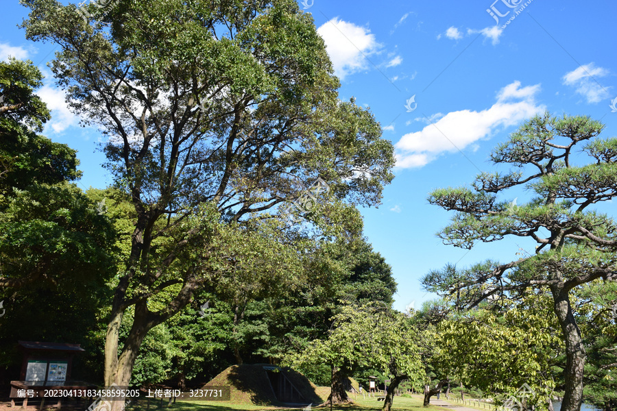 日本东京滨离宫恩赐庭园风景