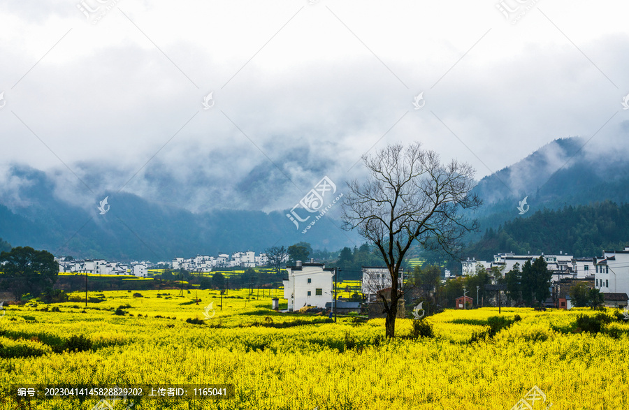 婺源江岭