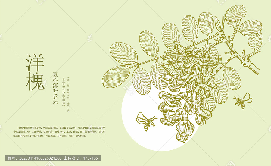 槐花版畫