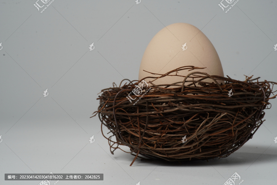鸟窝中的鸡蛋