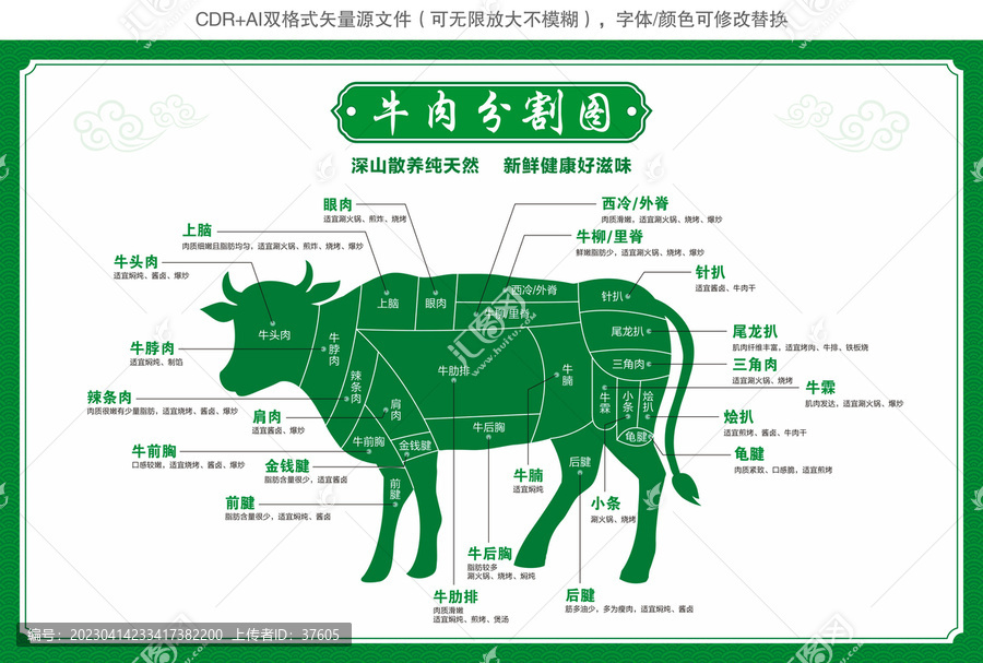 牛肉分切部位圖