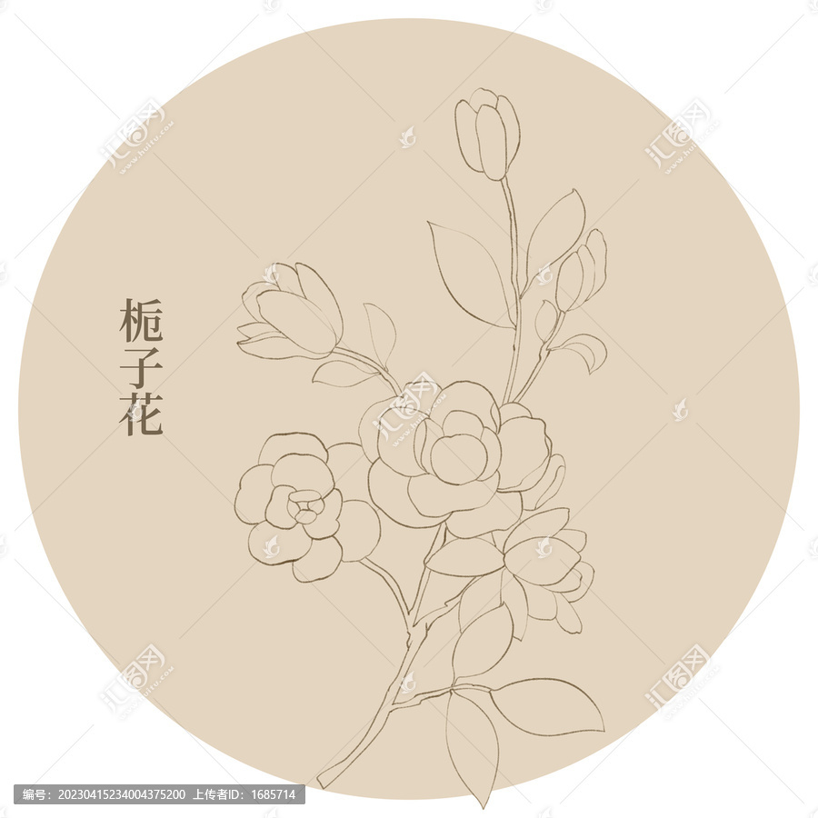 梔子花線稿