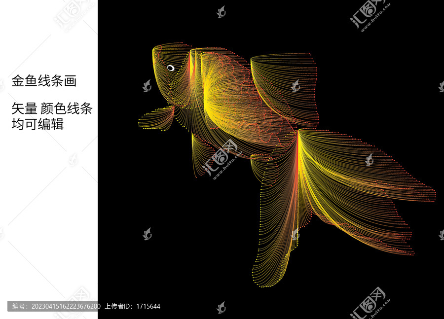 锦鲤之美流动的线条金鱼线条