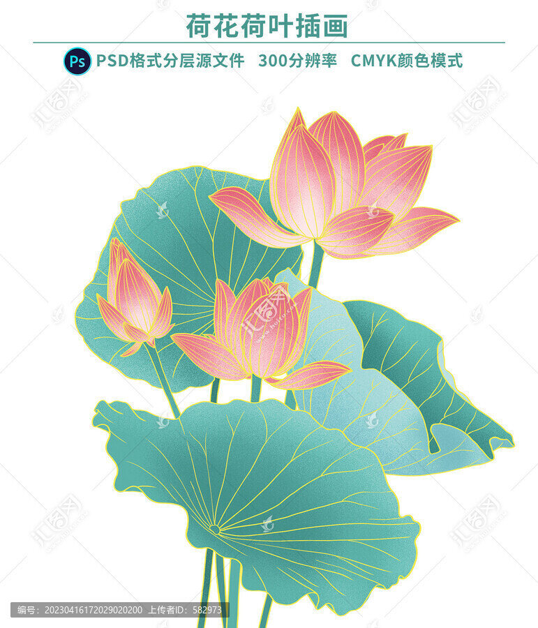 荷花荷葉插畫