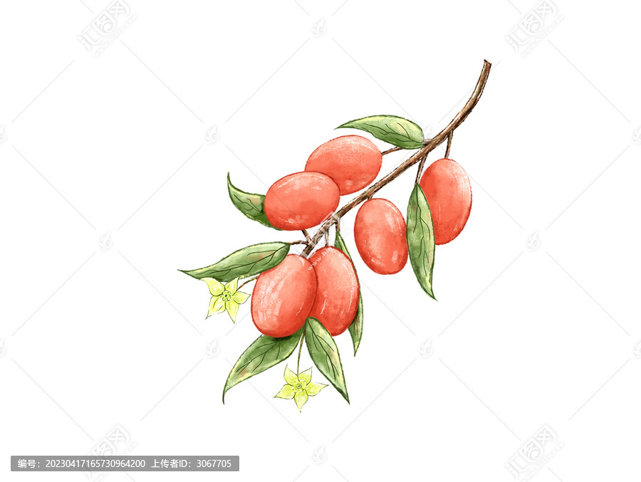 紅棗