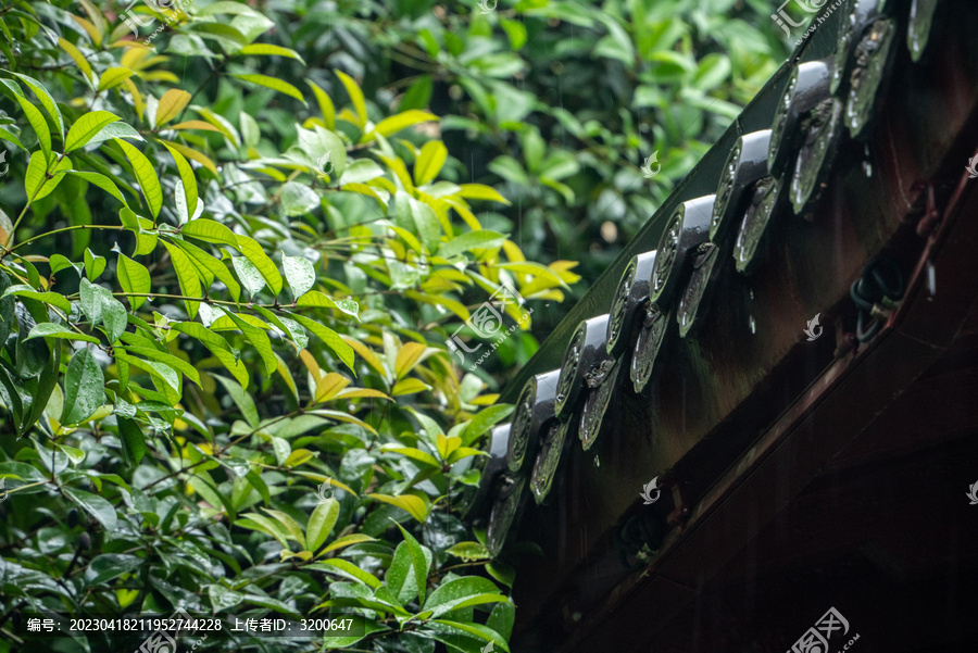 春雨下的古建筑