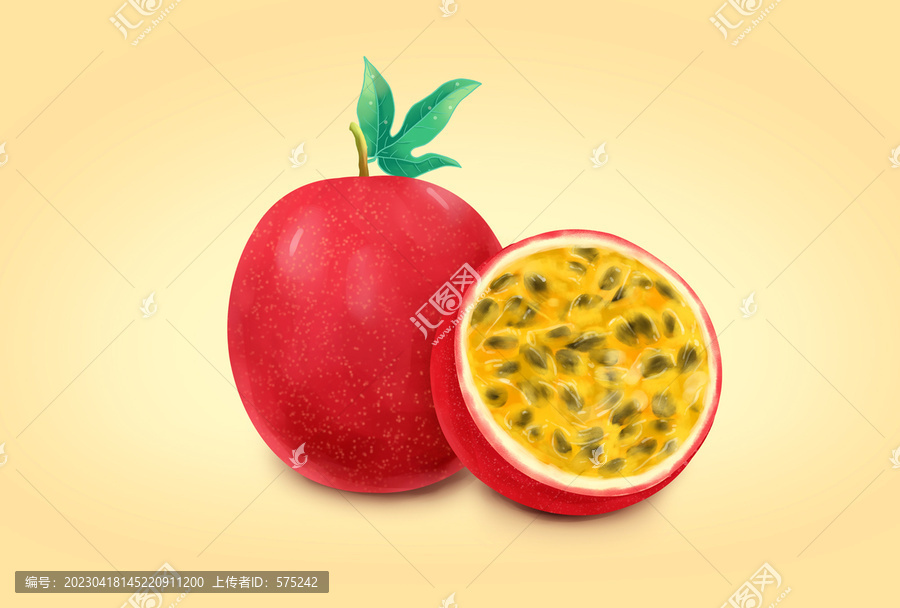 手繪百香果插畫