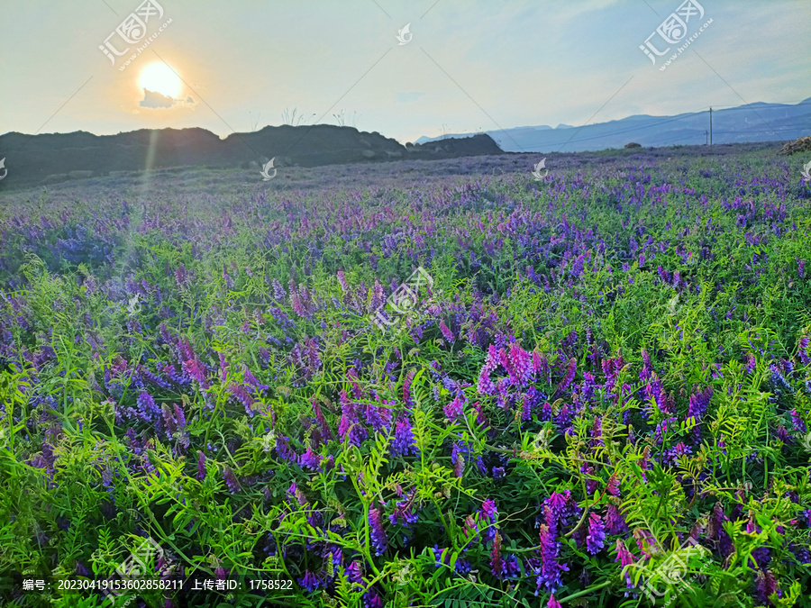 田园风光