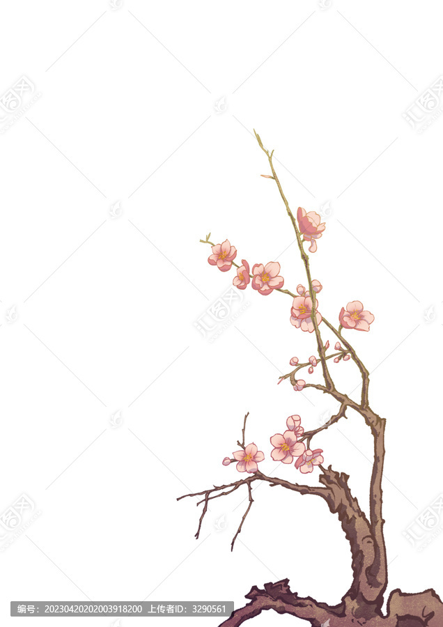 梅花