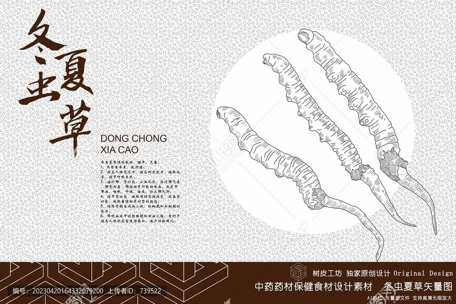 冬蟲夏草矢量圖