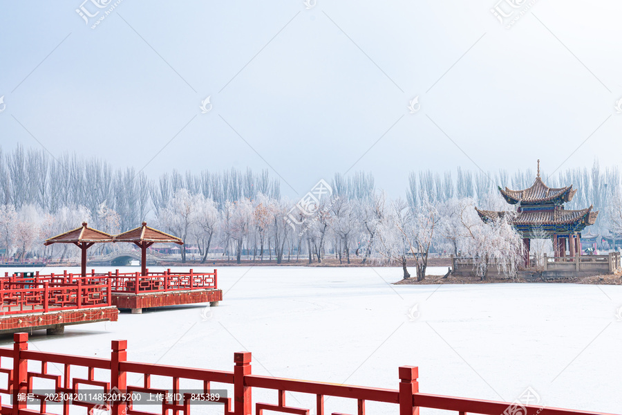 酒泉泉湖公园雾凇雪景