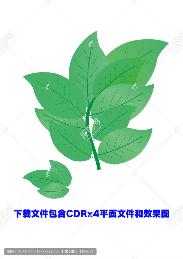 树叶树枝植物