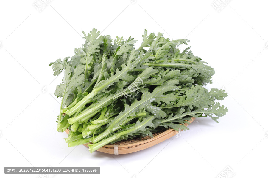 茼蒿