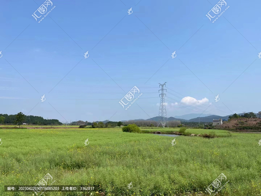 广阔新农村田园景象特写