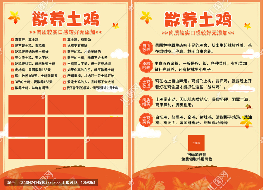 散養(yǎng)土雞