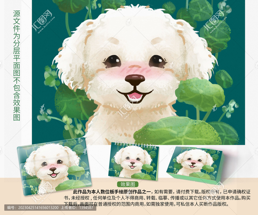 可愛的白色小比熊