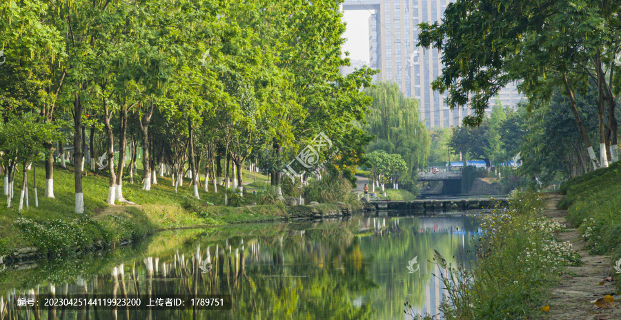 城市公园河流景观