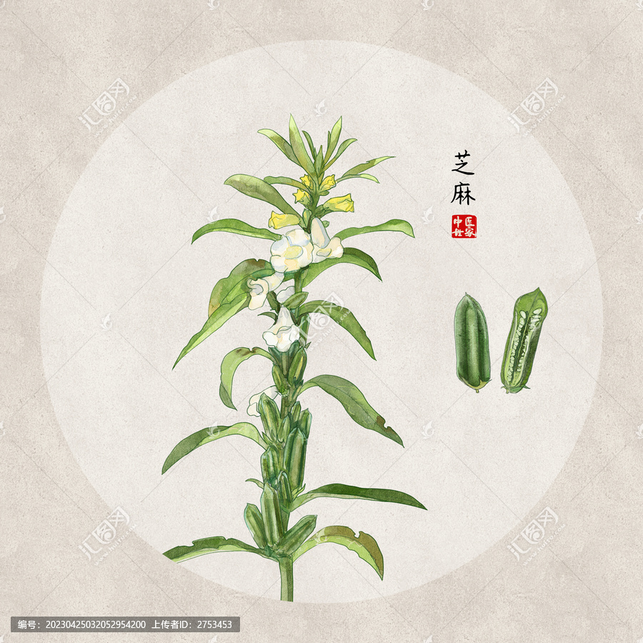 芝麻