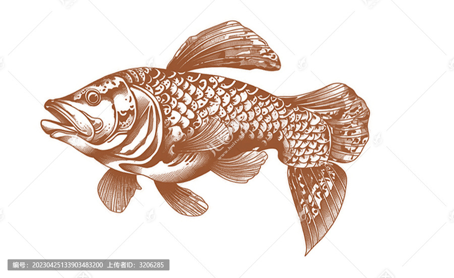 海魚罐頭魚素描包裝素材插畫
