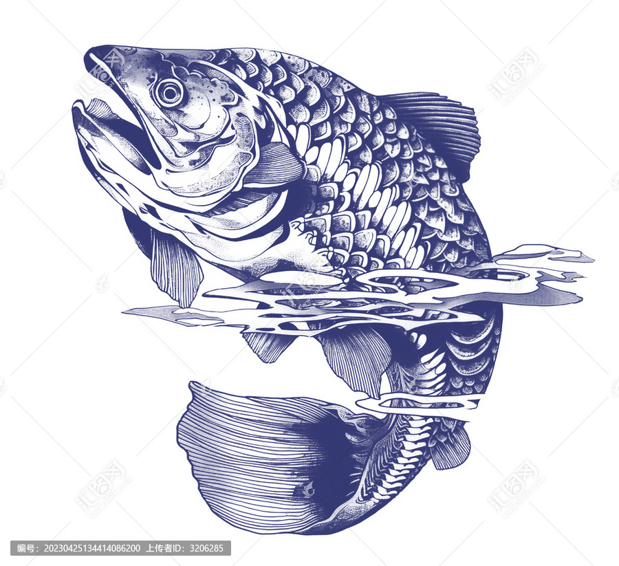 手繪海魚插畫白描包裝魚