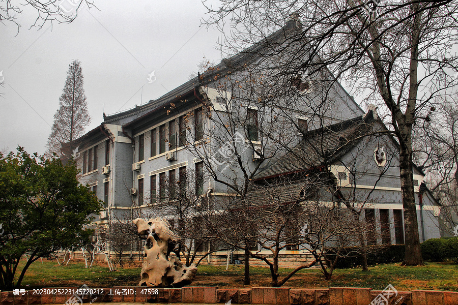 山东大学医学院