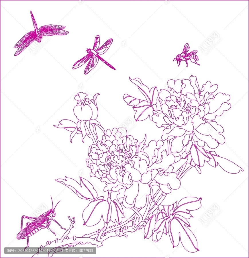菊花昆蟲(chóng)線描圖