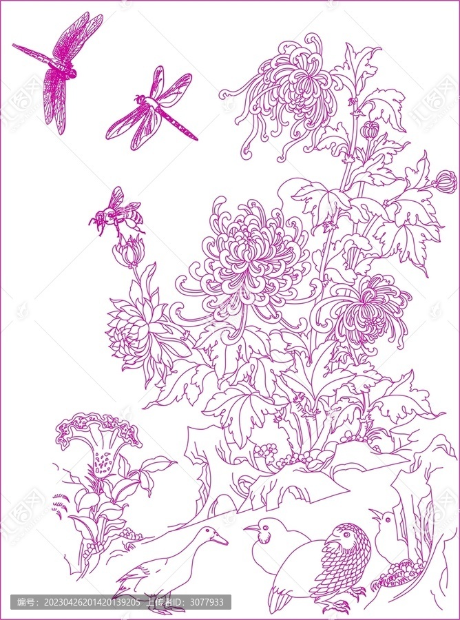蜻蜓菊花图