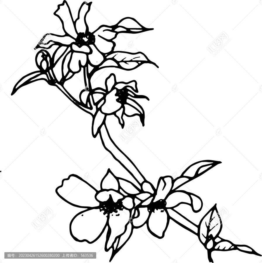 茶花