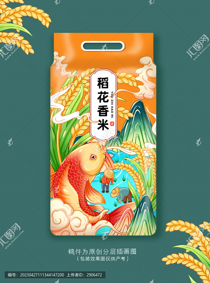 錦鯉大米插畫(huà)手繪