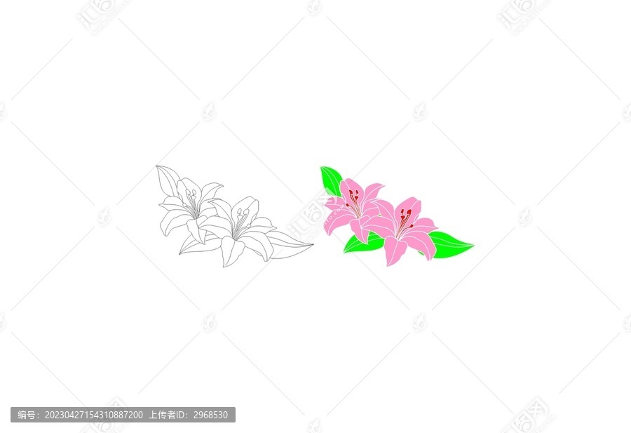 百合花