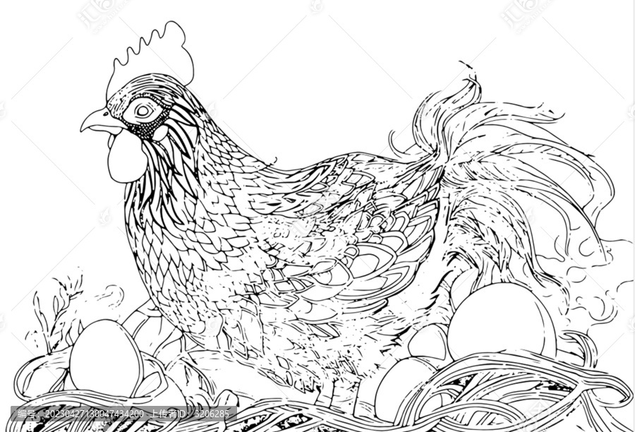 母雞雞蛋矢量包裝插畫