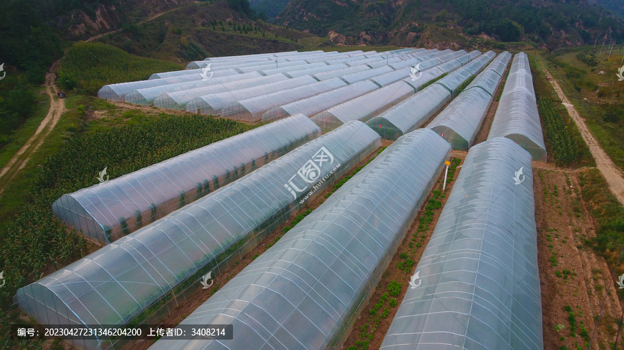 蔬菜大棚全景