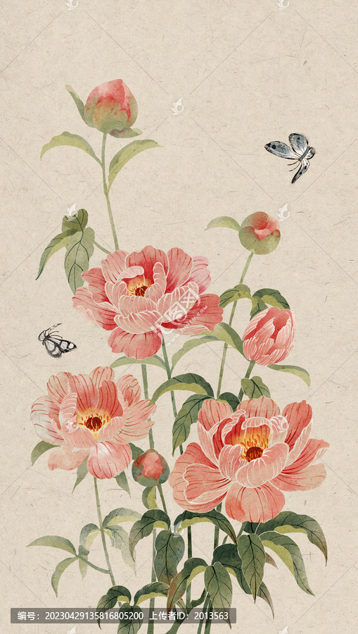 芍藥插畫(huà)