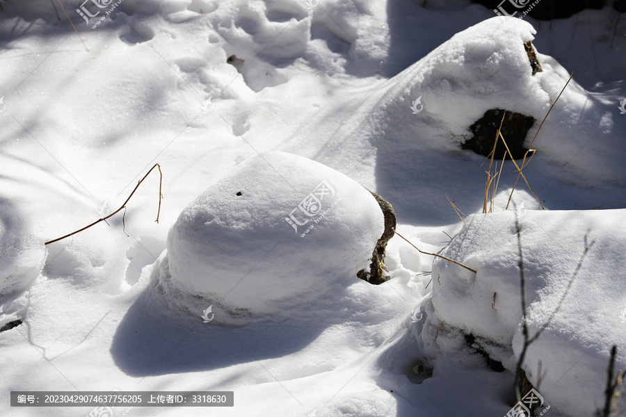 雪地