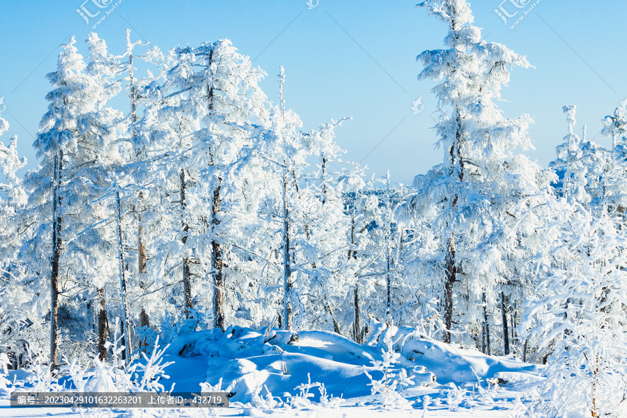 茂密原始森林雾凇雪景