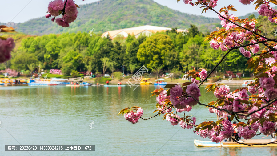 镜山湖美景