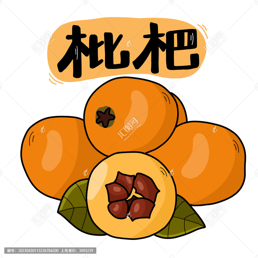 枇杷插畫