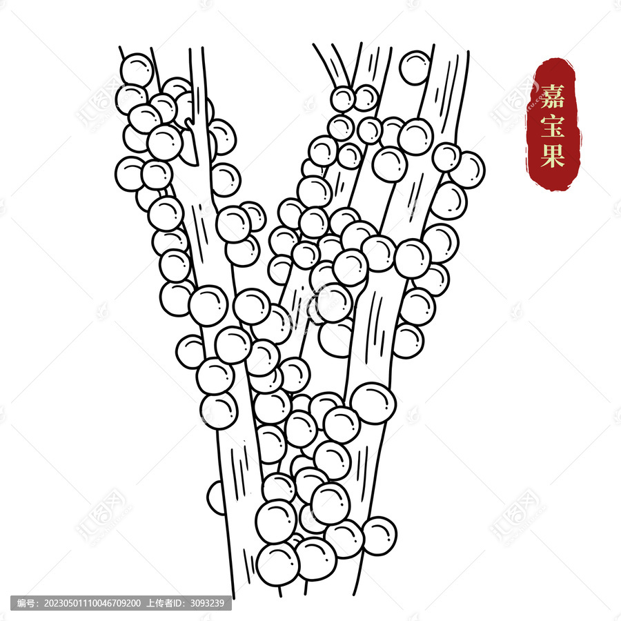 嘉寶果線稿