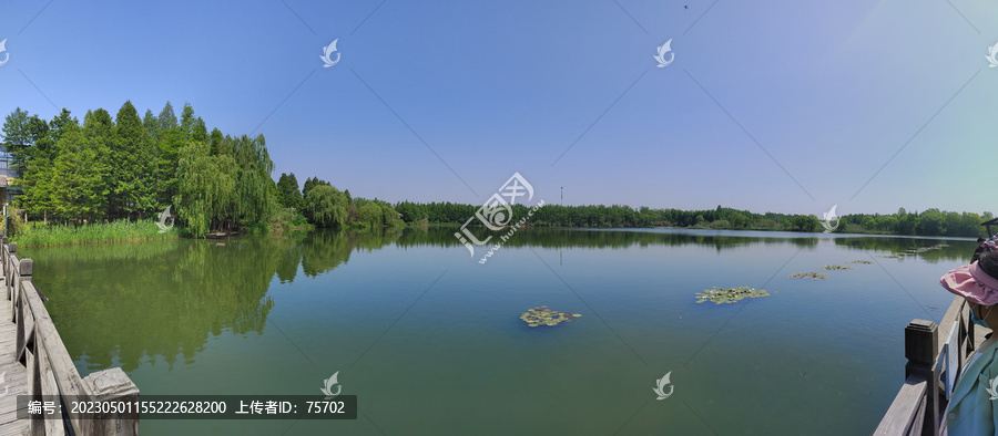 溱湖风景区湿地公园水景全景