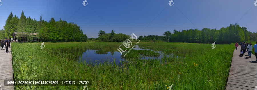 溱湖风景区湿地公园水景全景