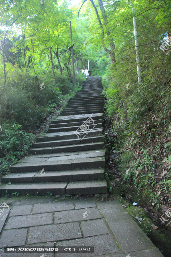 登山阶梯