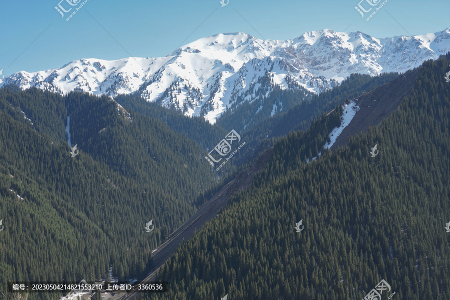 新疆果子沟雪山