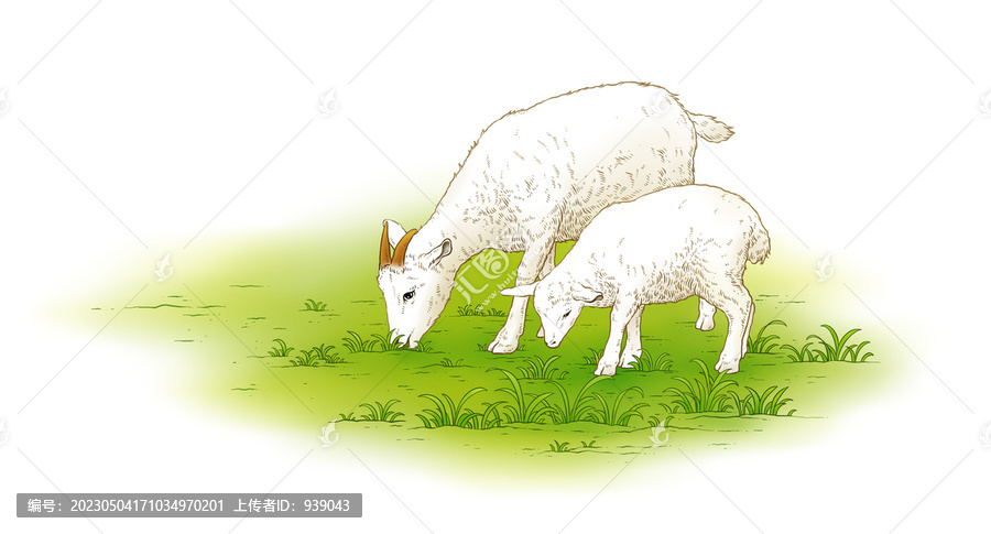 羊插畫