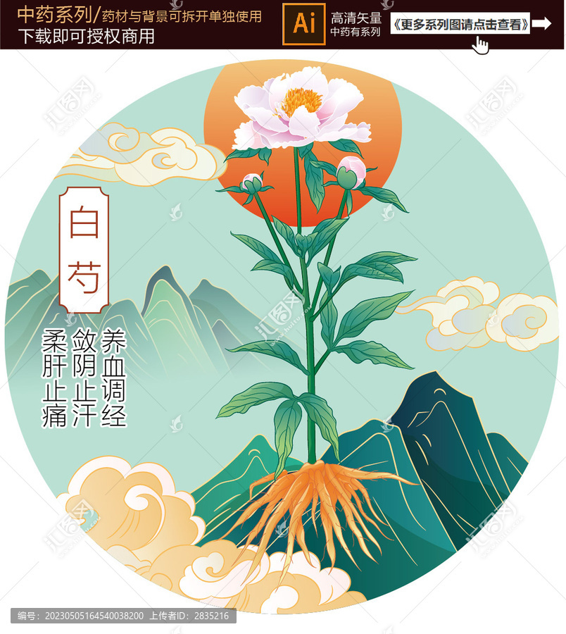 白芍