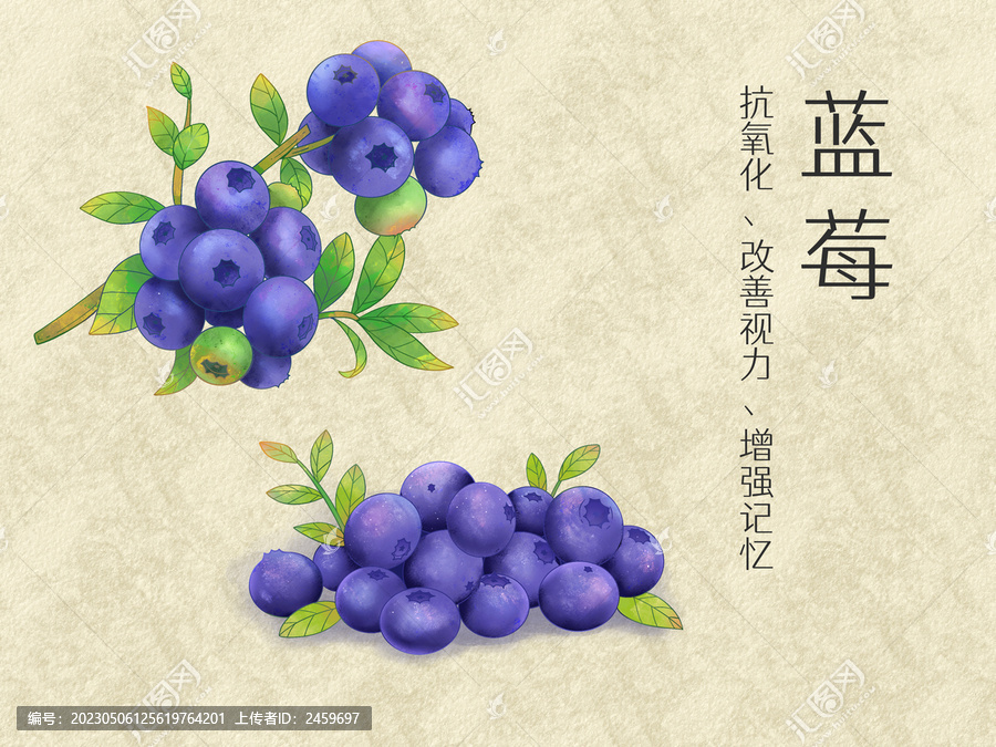 手绘水彩水果蓝莓插画