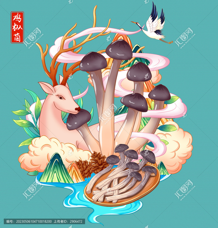 鸡枞菌插画手绘