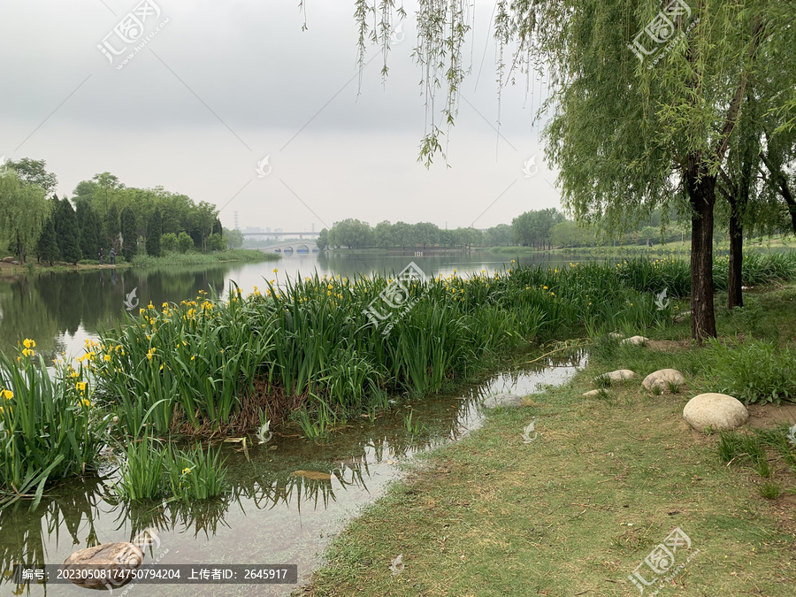 湖边风景